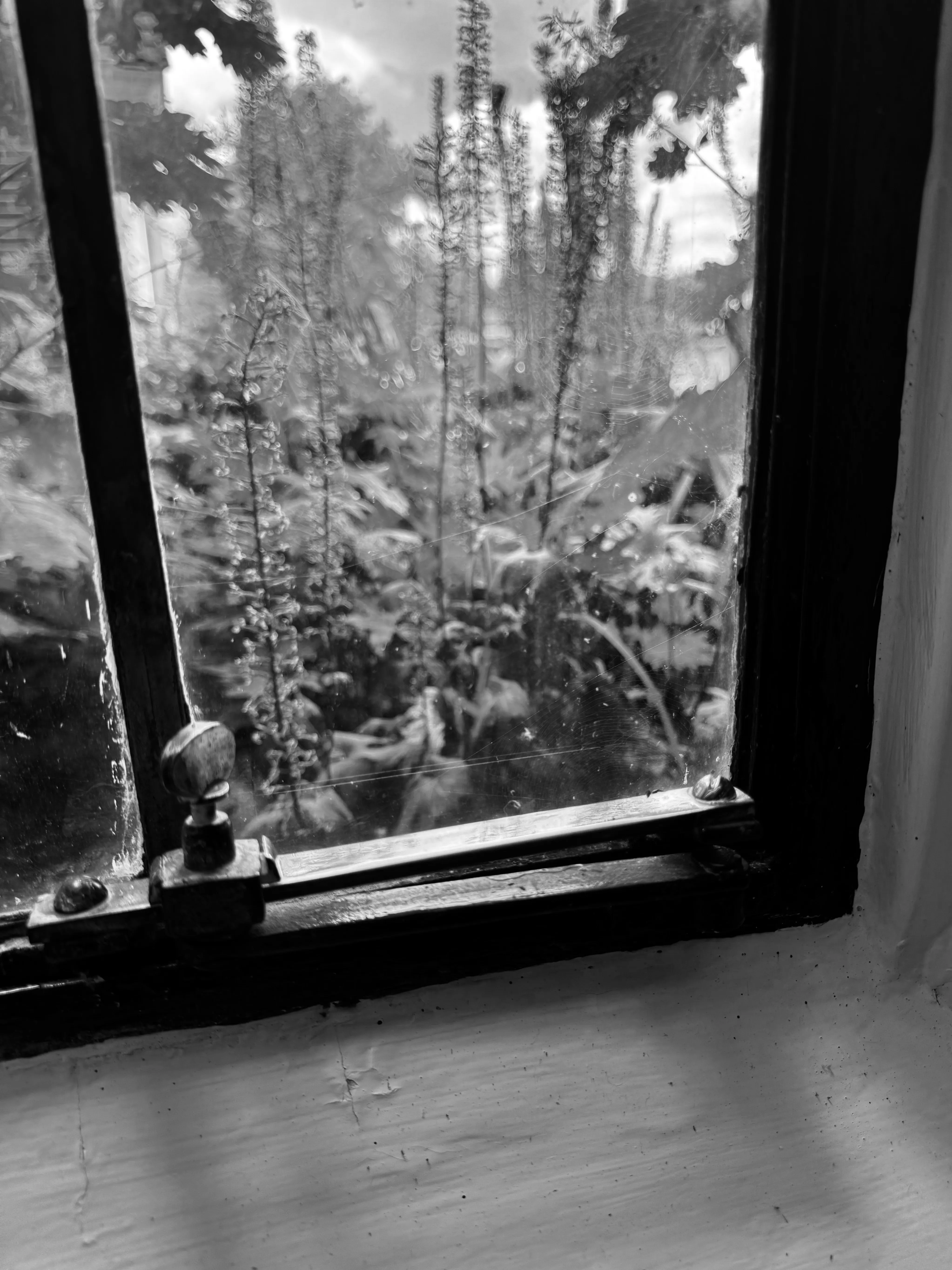 Inline-Bild zu „turning to nature“